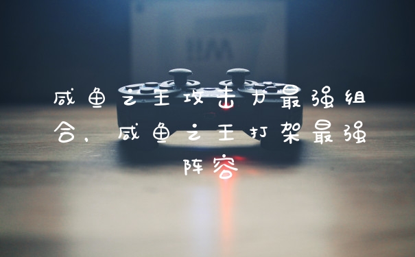 咸鱼之王攻击力最强组合，咸鱼之王打架最强阵容
