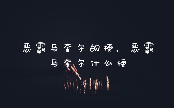 恶霸马奎尔的梗，恶霸马奎尔什么梗