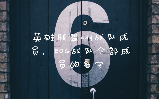 英雄联盟edg战队成员,EDG战队全部成员的名字