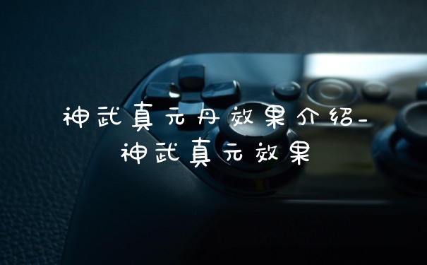 神武真元丹效果介绍_神武真元效果
