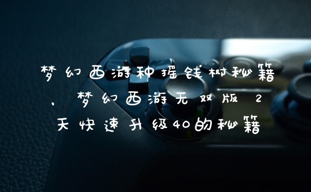 梦幻西游种摇钱树秘籍，梦幻西游无双版 2天快速升级40的秘籍