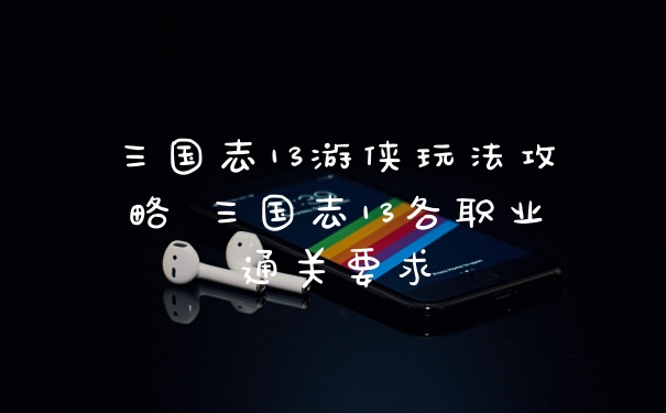 三国志13游侠玩法攻略 三国志13各职业通关要求