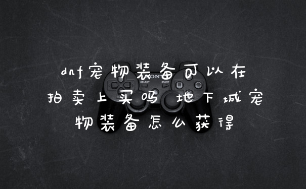 dnf宠物装备可以在拍卖上买吗 地下城宠物装备怎么获得