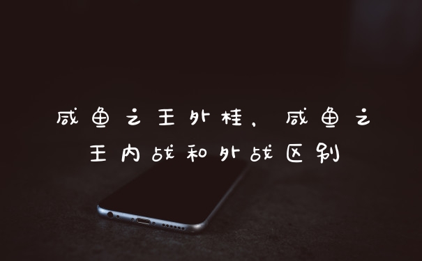 咸鱼之王外桂,咸鱼之王内战和外战区别