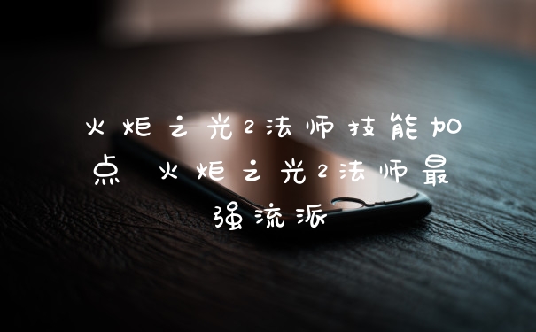 火炬之光2法师技能加点 火炬之光2法师最强流派
