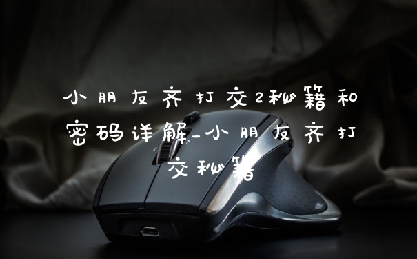 小朋友齐打交2秘籍和密码详解_小朋友齐打交秘籍