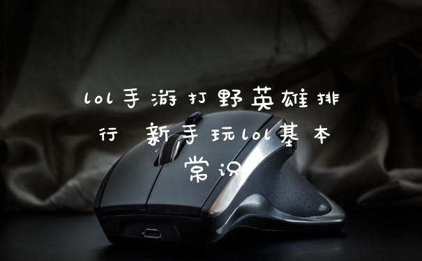 lol手游打野英雄排行 新手玩lol基本常识