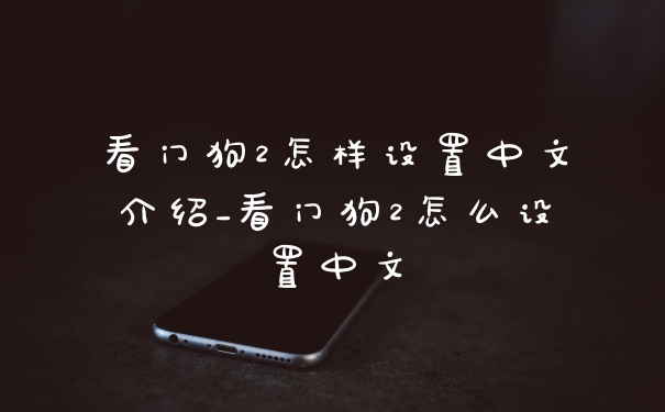 看门狗2怎样设置中文介绍_看门狗2怎么设置中文