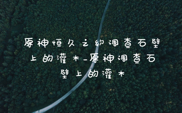 原神恒久之约调查石壁上的灌木_原神调查石壁上的灌木