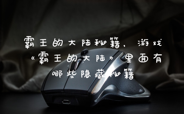 霸王的大陆秘籍，游戏《霸王的大陆》里面有哪些隐藏秘籍