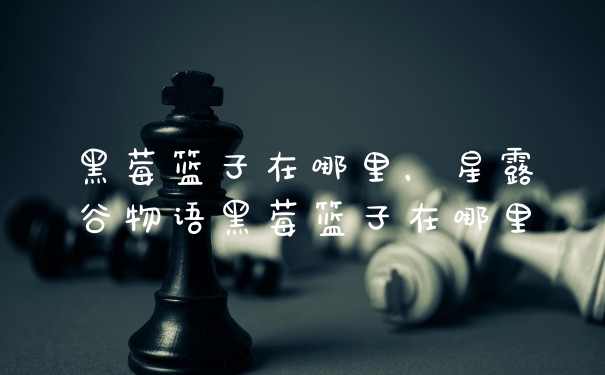 黑莓篮子在哪里，星露谷物语黑莓篮子在哪里