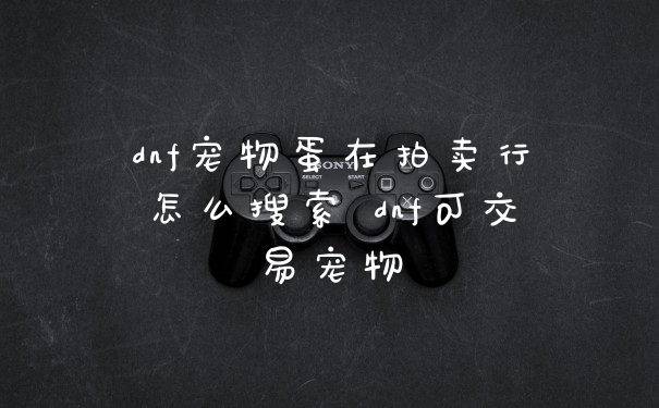 dnf宠物蛋在拍卖行怎么搜索 dnf可交易宠物