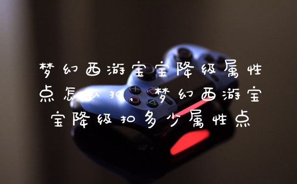 梦幻西游宝宝降级属性点怎么扣，梦幻西游宝宝降级扣多少属性点