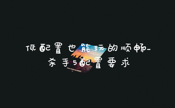 低配置也能玩的顺畅_杀手5配置要求