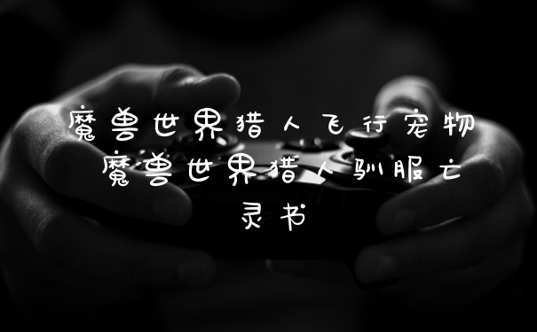 魔兽世界猎人飞行宠物 魔兽世界猎人驯服亡灵书