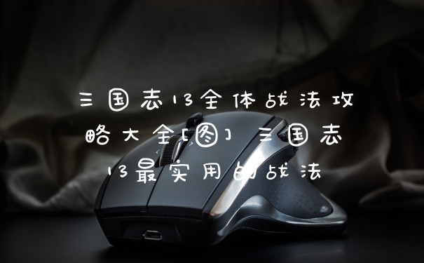 三国志13全体战法攻略大全[图] 三国志13最实用的战法