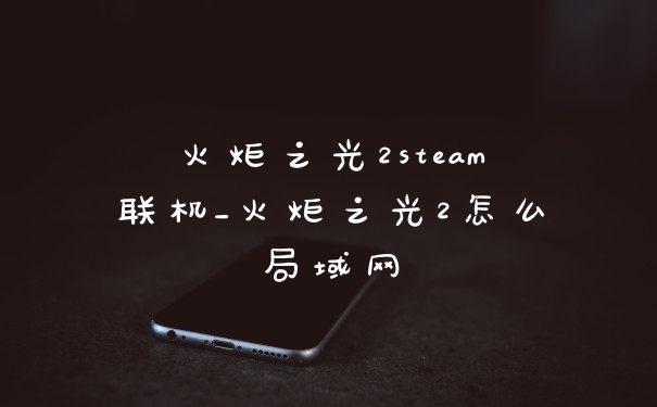 火炬之光2steam联机_火炬之光2怎么局域网