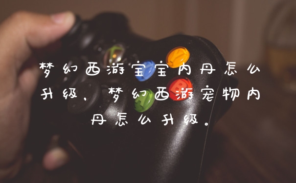 梦幻西游宝宝内丹怎么升级，梦幻西游宠物内丹怎么升级。