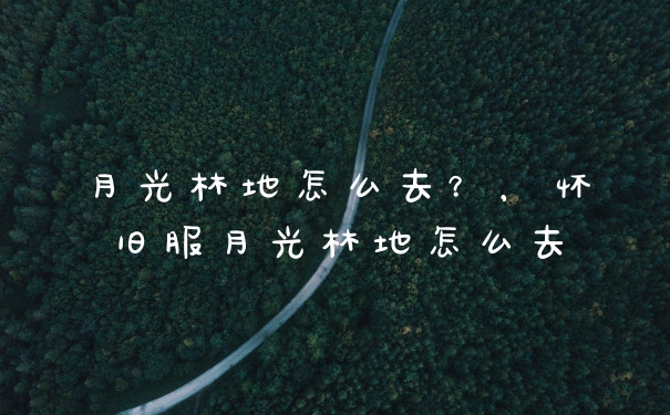 月光林地怎么去？，怀旧服月光林地怎么去