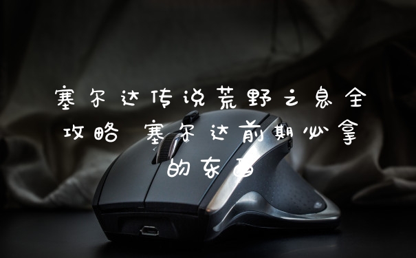 塞尔达传说荒野之息全攻略 塞尔达前期必拿的东西