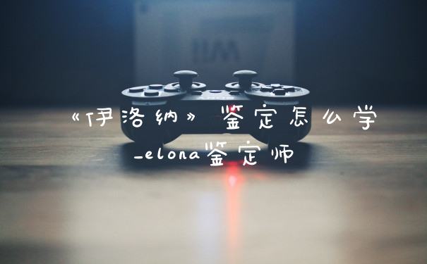 《伊洛纳》鉴定怎么学_elona鉴定师