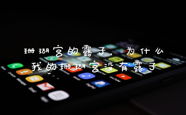 珊瑚宫的露子，为什么我的珊瑚宫没有露子