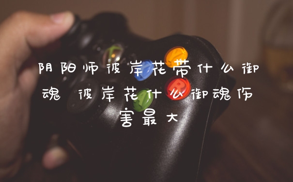 阴阳师彼岸花带什么御魂 彼岸花什么御魂伤害最大