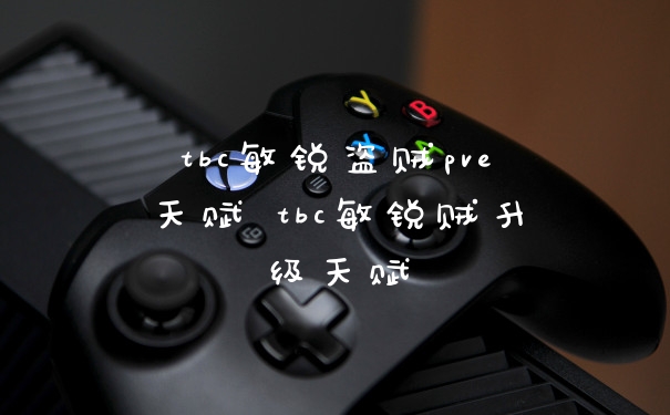 tbc敏锐盗贼pve天赋 tbc敏锐贼升级天赋