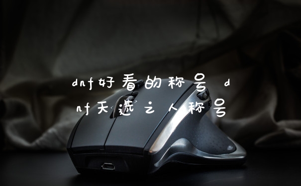 dnf好看的称号 dnf天选之人称号
