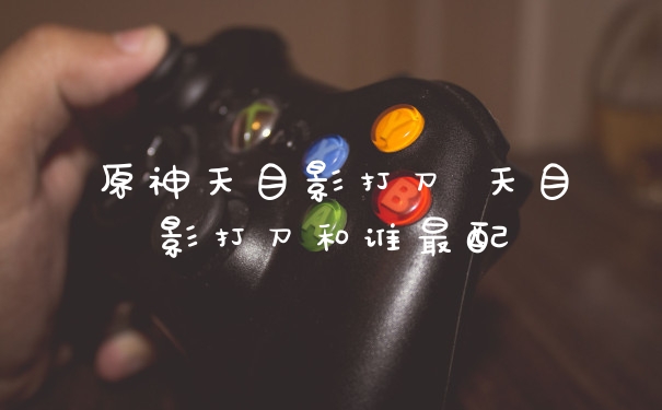 原神天目影打刀 天目影打刀和谁最配