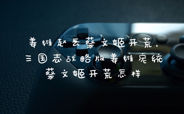 姜维赵云蔡文姬开荒，三国志战略版姜维庞统蔡文姬开荒怎样