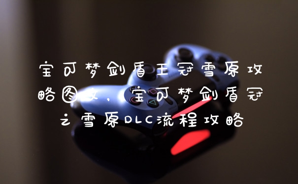 宝可梦剑盾王冠雪原攻略图文,宝可梦剑盾冠之雪原DLC流程攻略