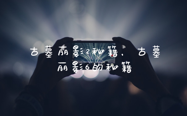 古墓丽影2秘籍，古墓丽影6的秘籍