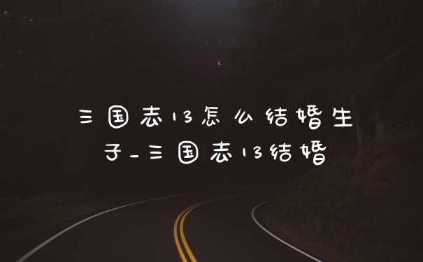 三国志13怎么结婚生子_三国志13结婚