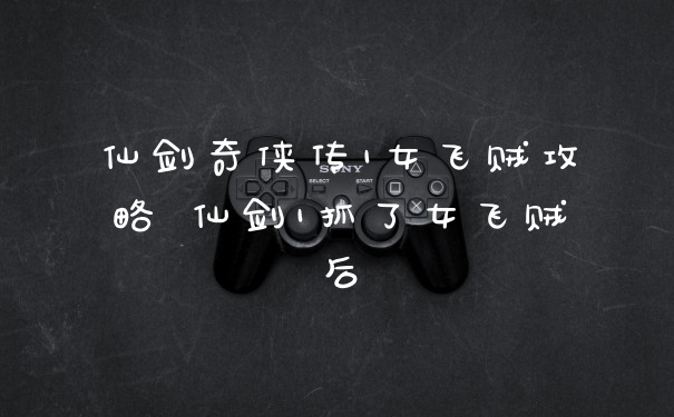 仙剑奇侠传1女飞贼攻略 仙剑1抓了女飞贼后