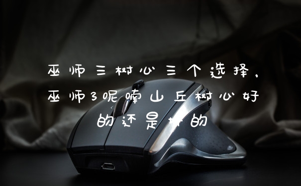 巫师三树心三个选择，巫师3呢喃山丘树心好的还是坏的