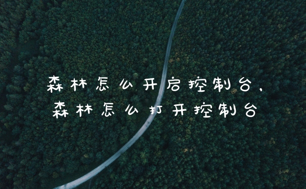 森林怎么开启控制台，森林怎么打开控制台