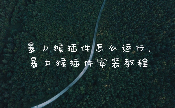 暴力猴插件怎么运行，暴力猴插件安装教程