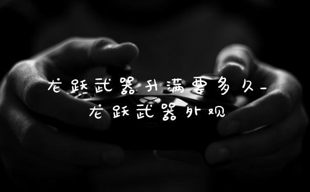 龙跃武器升满要多久_龙跃武器外观