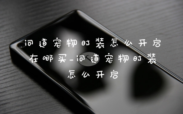 问道宠物时装怎么开启在哪买_问道宠物时装怎么开启