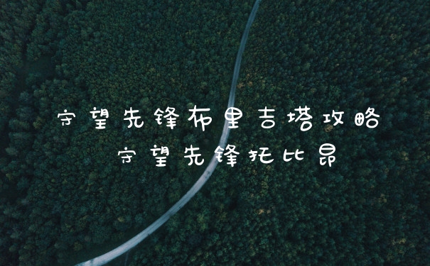 守望先锋布里吉塔攻略 守望先锋托比昂