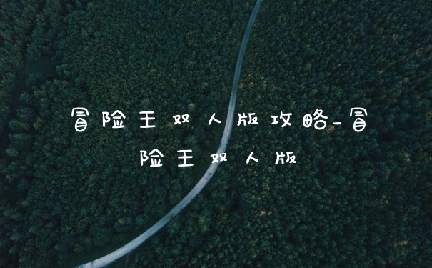 冒险王双人版攻略_冒险王双人版