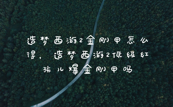 造梦西游2金刚甲怎么得，造梦西游2低级红孩儿爆金刚甲吗