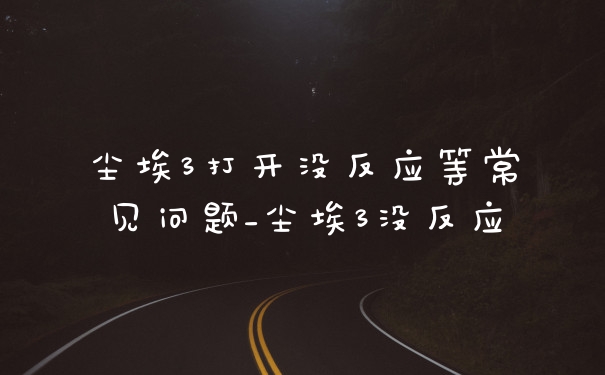 尘埃3打开没反应等常见问题_尘埃3没反应