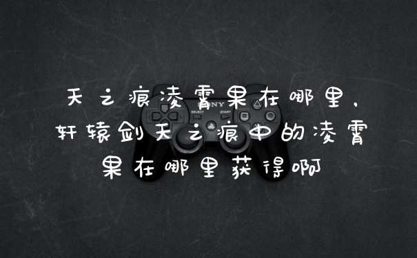 天之痕凌霄果在哪里,轩辕剑天之痕中的凌霄果在哪里获得啊