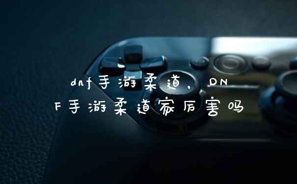 dnf手游柔道,DNF手游柔道家厉害吗