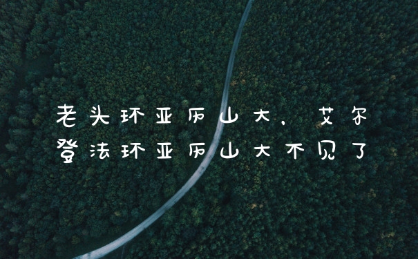 老头环亚历山大，艾尔登法环亚历山大不见了