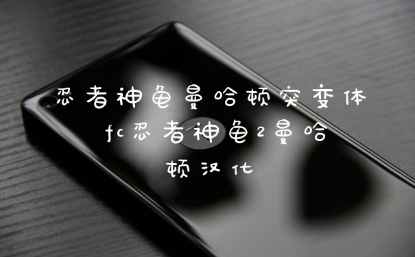 忍者神龟曼哈顿突变体 fc忍者神龟2曼哈顿汉化