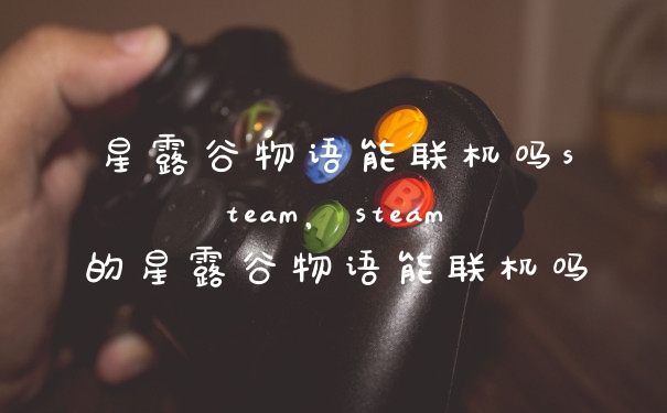星露谷物语能联机吗steam,steam的星露谷物语能联机吗