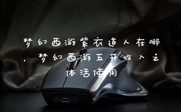 梦幻西游紫衣道人在哪，梦幻西游五开收入之体活使用